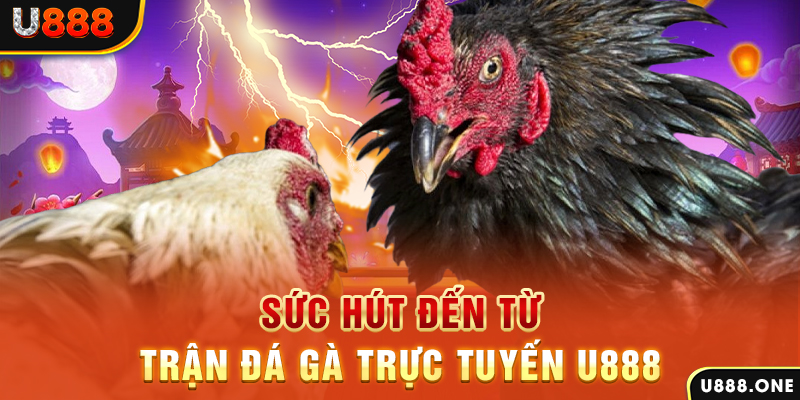 mcw77 đăng nhập poker 2024
