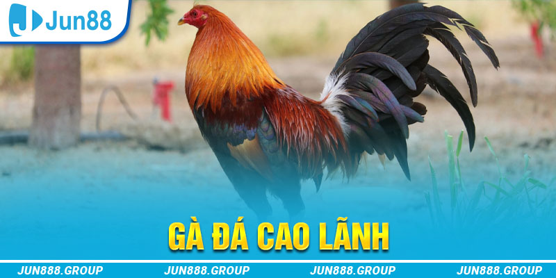 mcw77 tai game vua bai ve may tinh