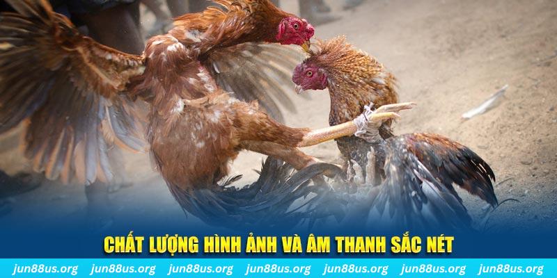mcw77 tai game danh bai mien phi ve may tinh
