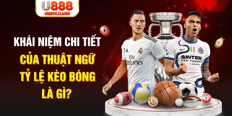 mcw77 Long Hổ 2