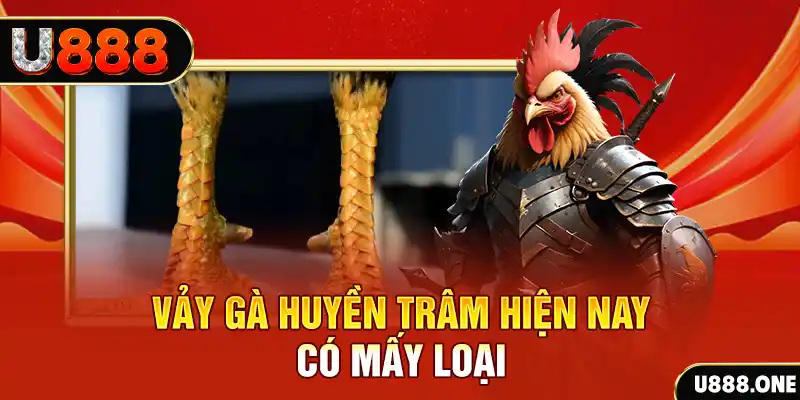 mcw77 đăng nhập nổ hũ miễn phí