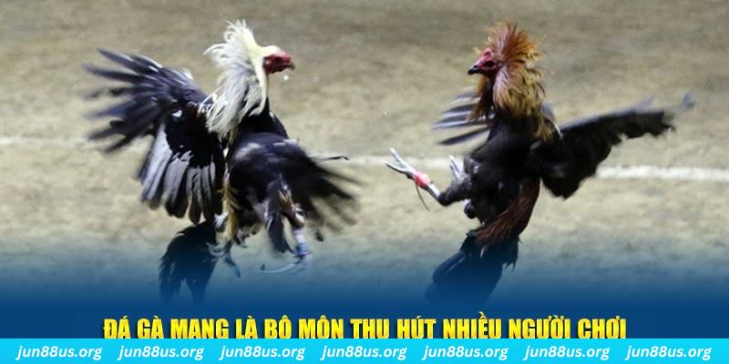 mcw77 đăng nhập sòng bạc số 1