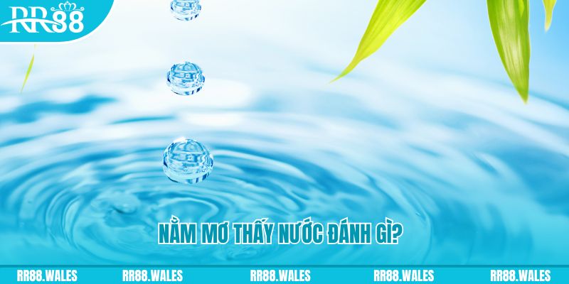 mcw77 xổ số trực tiếp miền bắc
