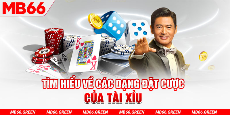 mcw77 what is a casino loyalty program