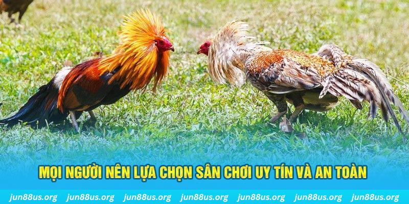mcw77 đăng nhập poker 2025