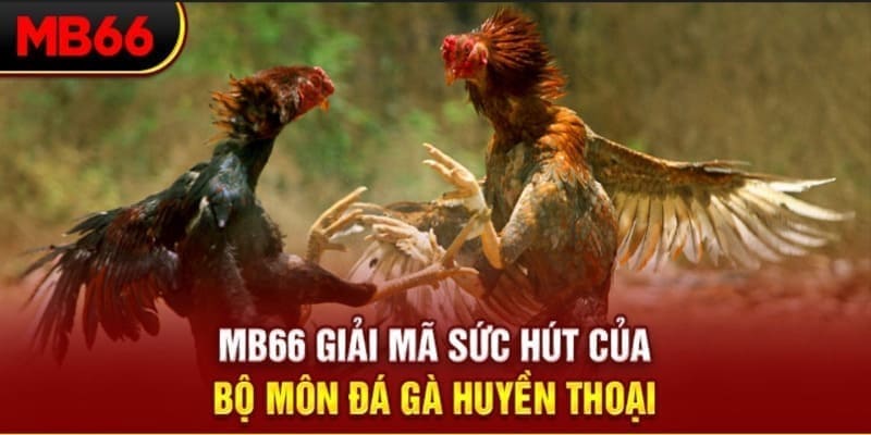 mcw77 xổ số đài bắc