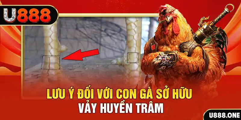 mcw77 tải game đánh bài tiến lên miền nam về máy tính