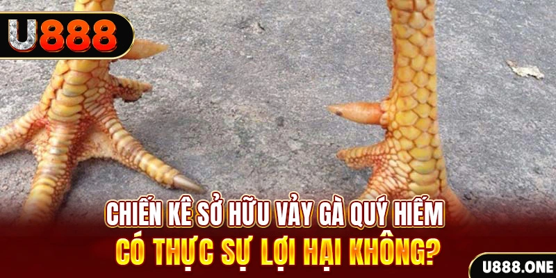 mcw77 xổ số miền trung