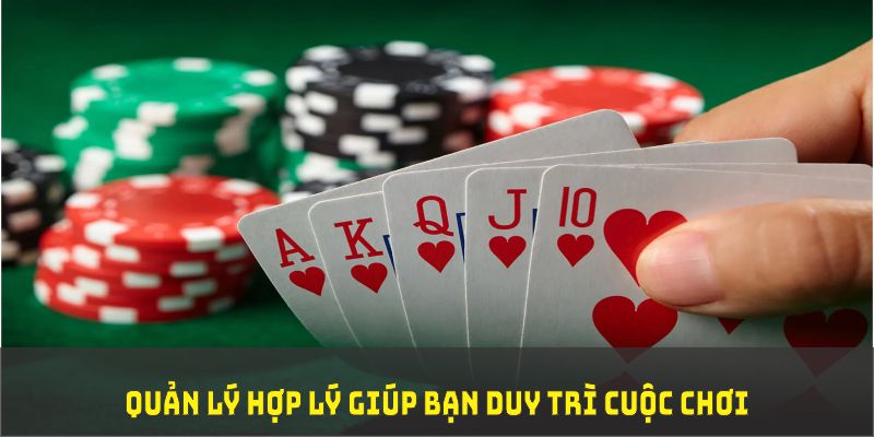 mcw77 đá gà trực tiếp thomo 67
