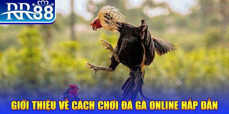 mcw77 EvoPlay Điện Tử