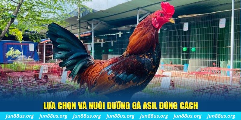 mcw77 nổ hũ thần tài là gì