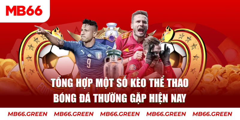 mcw77 TP Xổ Số