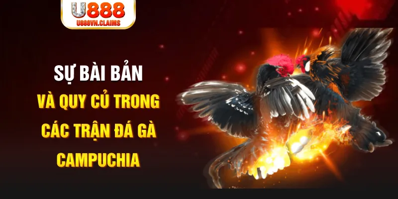mcw77 game xếp bài trên máy tính