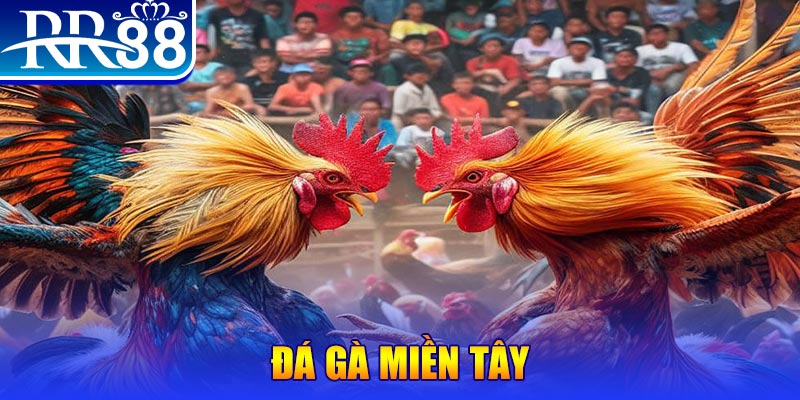 mcw77 đăng nhập liêng đổi thưởng