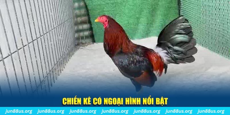 mcw77 qq88 bắn cá