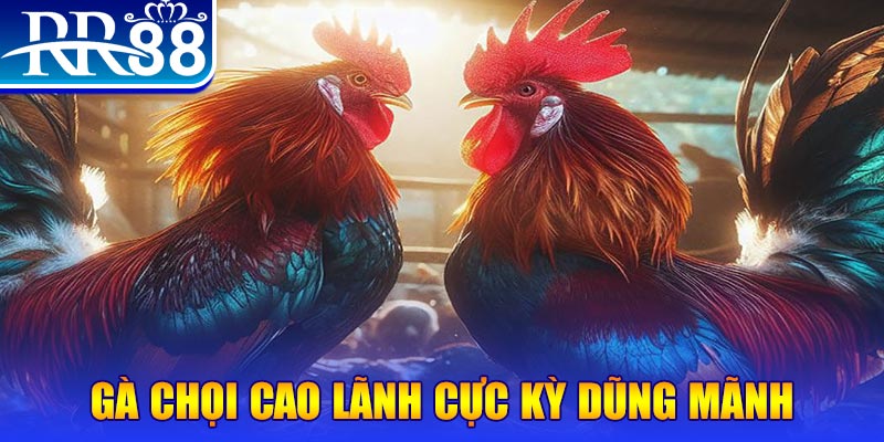 mcw77 đăng nhập poker live
